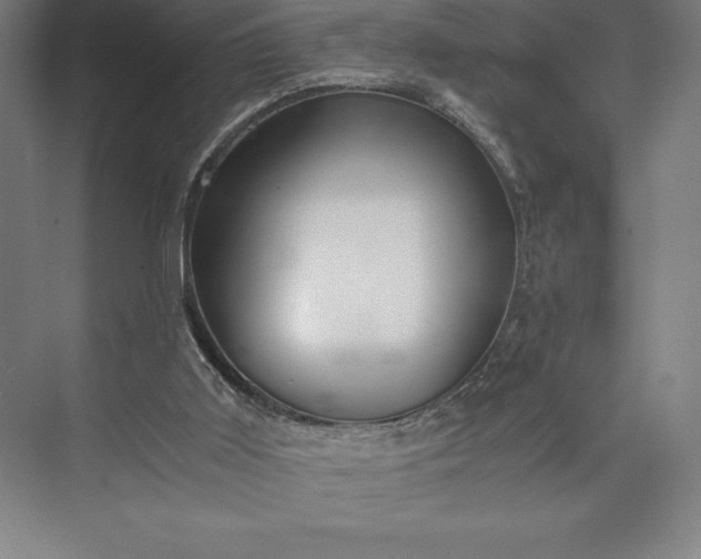 X0000073530011200608141038