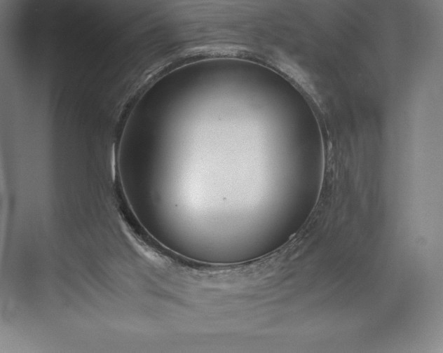 X0000073530013200608141038