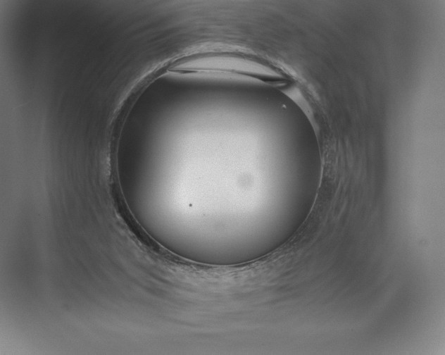X0000073530015200608141038