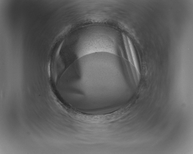 X0000073530019200608141038