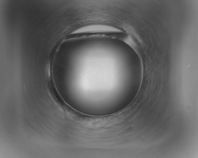 X0000073530021200608141038