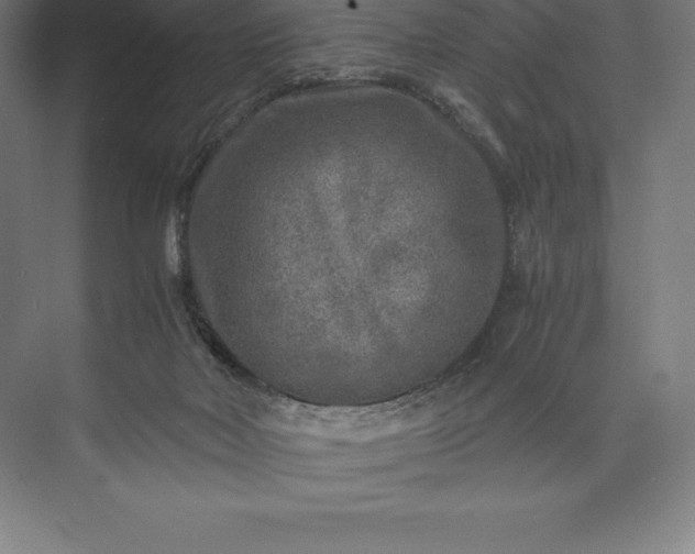 X0000073530026200608141038