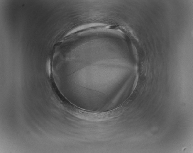 X0000073530027200608141038