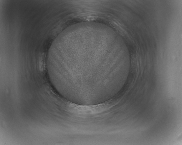 X0000073530030200608141038