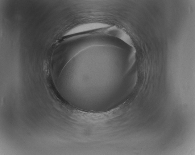 X0000073530031200608141038