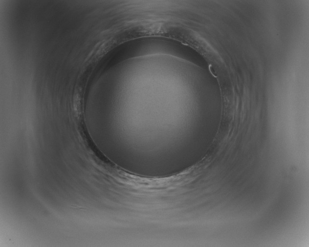 X0000073530035200608141038