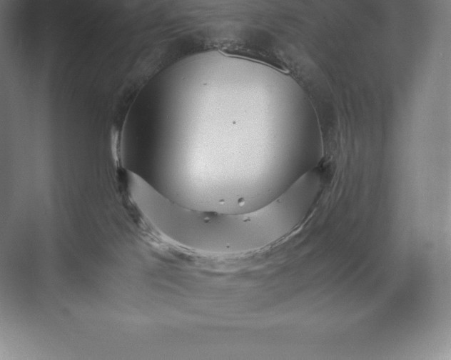 X0000073530041200608141038
