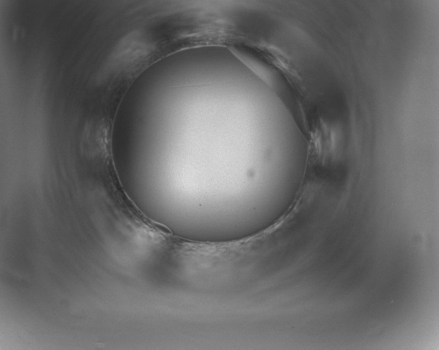 X0000073530045200608141038