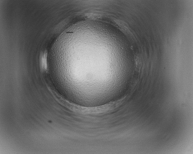 X0000073530046200608141037
