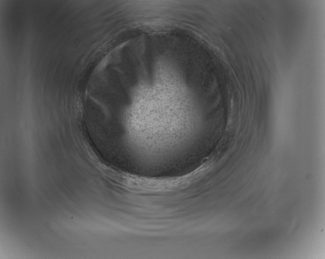 X0000073530048200608141037