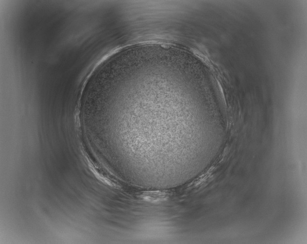 X0000073530050200608141037