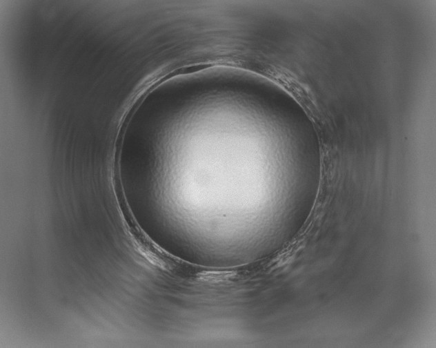 X0000073530051200608141037
