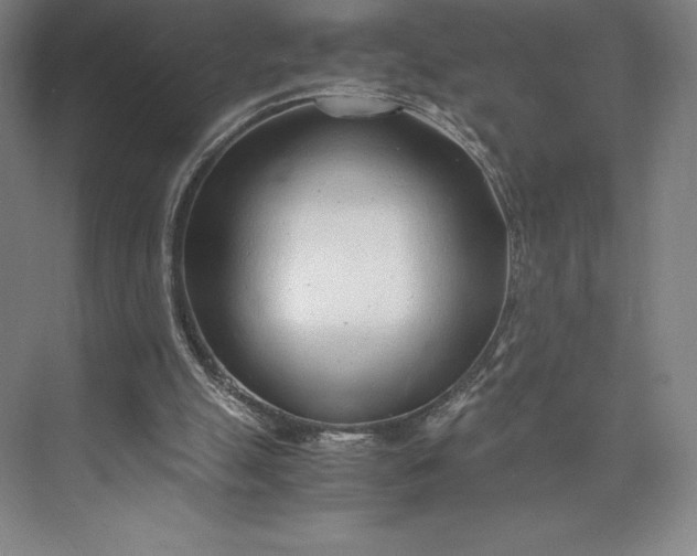 X0000073530055200608141037