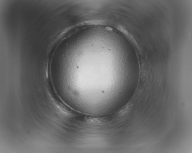 X0000073530062200608141037