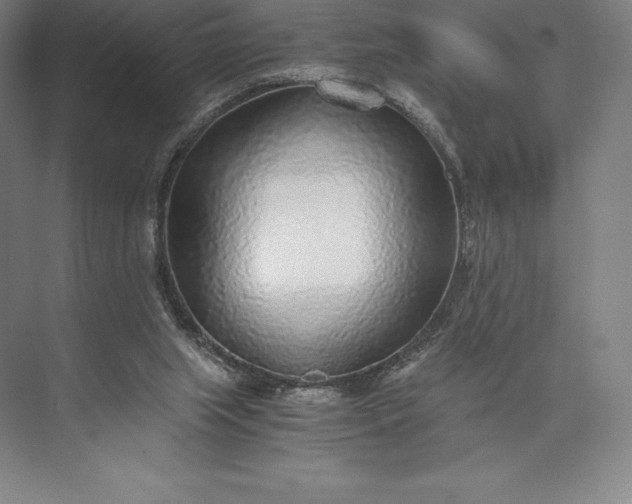 X0000073530063200608141037