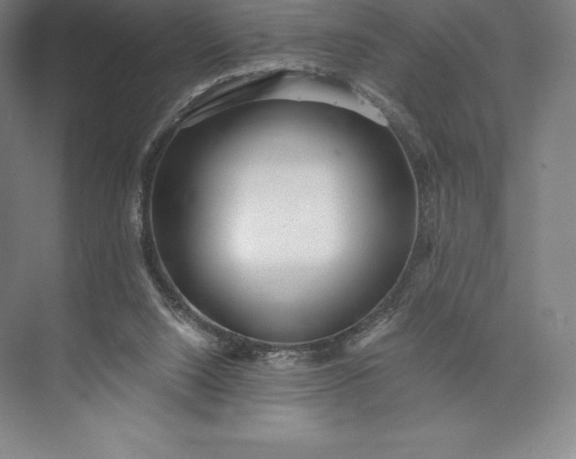 X0000073530064200608141037