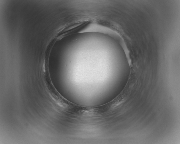 X0000073530068200608141037