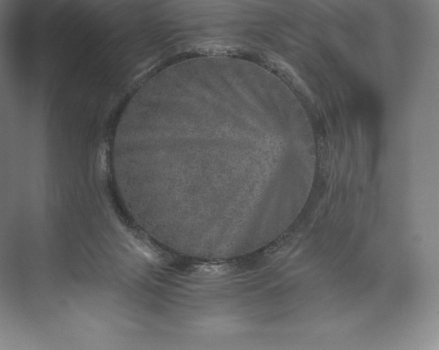 X0000073530071200608141037