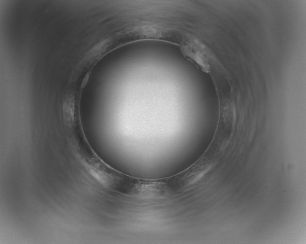 X0000073530072200608141037