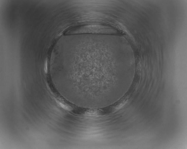 X0000073530076200608141037