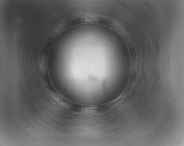 X0000073530078200608141037