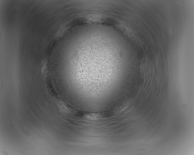 X0000073530079200608141037
