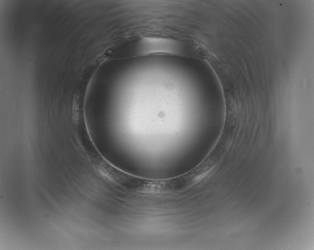 X0000073530080200608141037