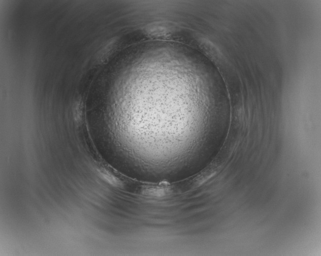 X0000073530081200608141037