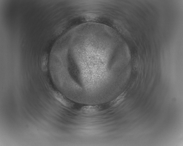 X0000073530082200608141037