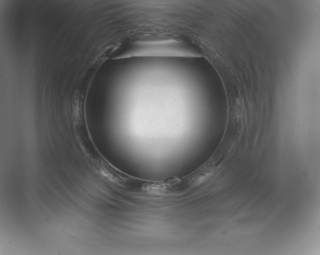 X0000073530084200608141037