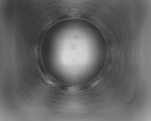 X0000073530088200608141037