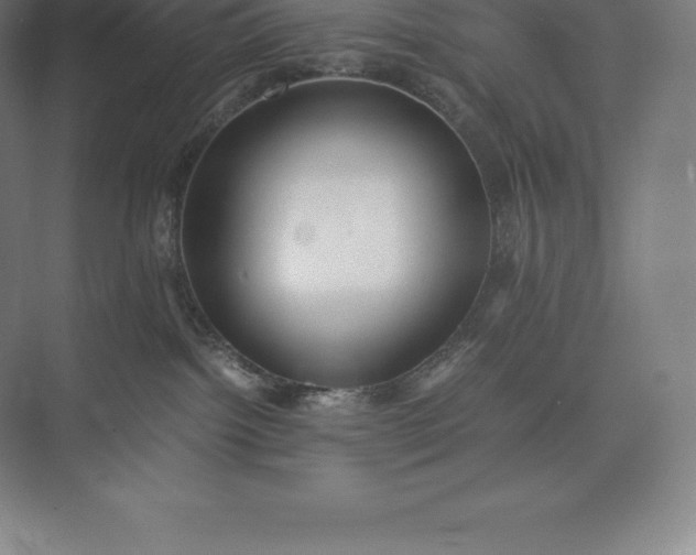 X0000073530092200608141037