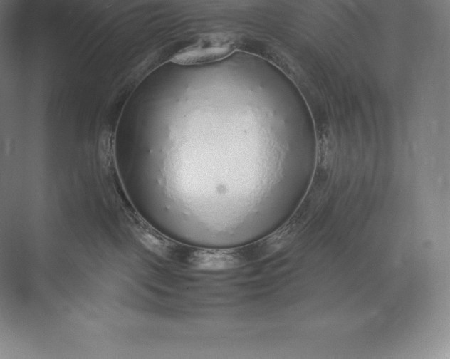 X0000073530093200608141037