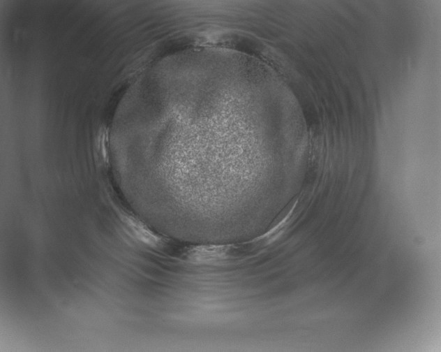 X0000073530094200608141037