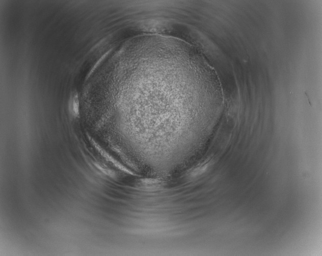 X0000073530095200608141037