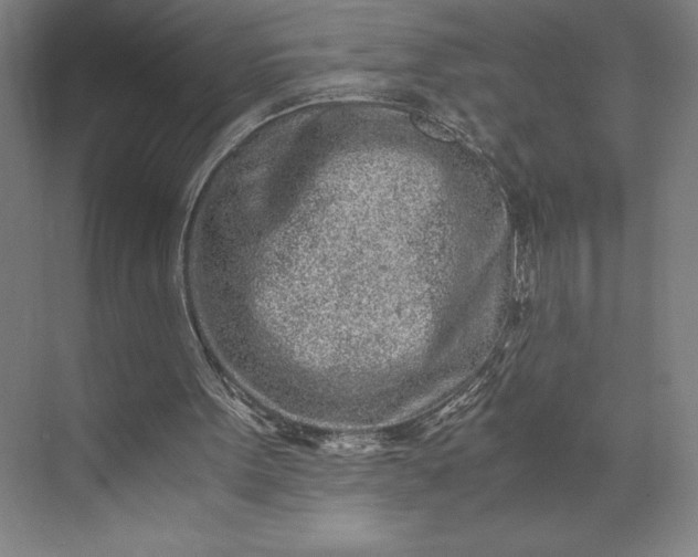 X0000073530099200608141037