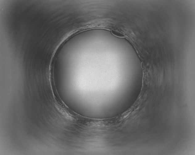 X0000073530100200608141037