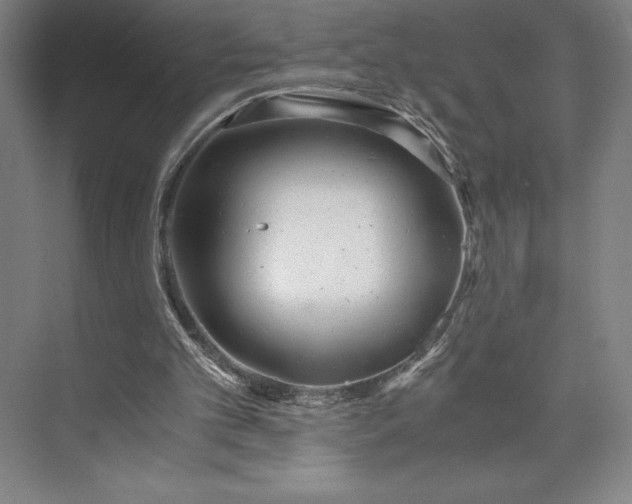 X0000073530101200608141037