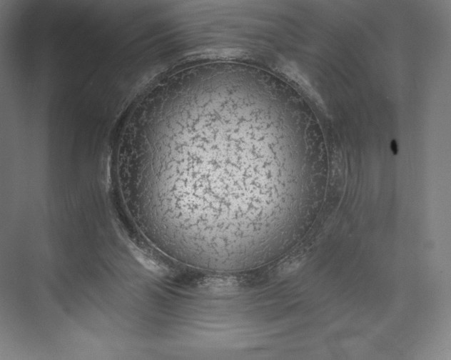 X0000073530110200608141036