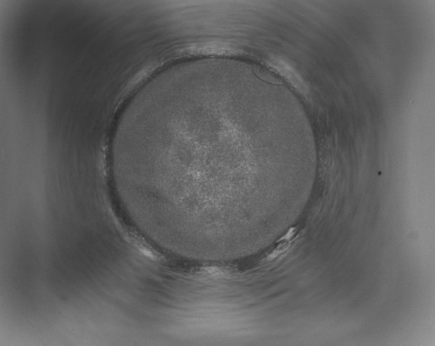 X0000073530111200608141036
