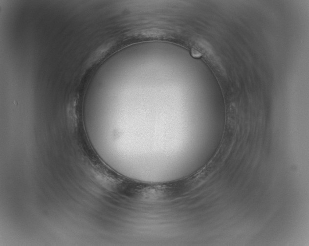 X0000073530116200608141036