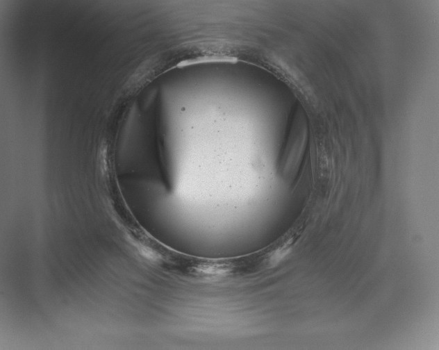 X0000073530117200608141036