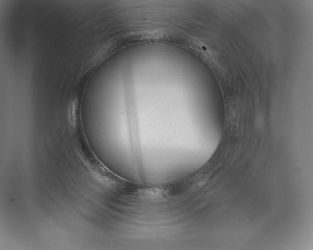 X0000073530118200608141036