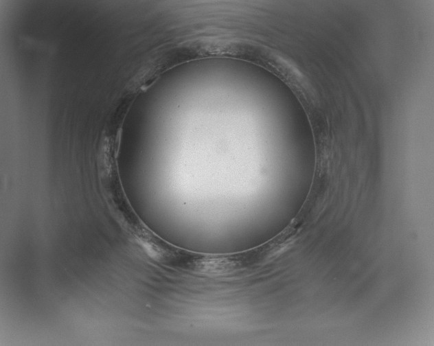 X0000073530121200608141036