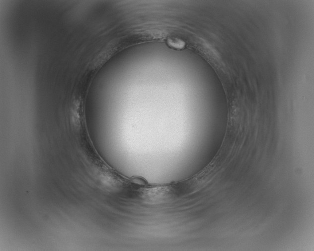 X0000073530122200608141036