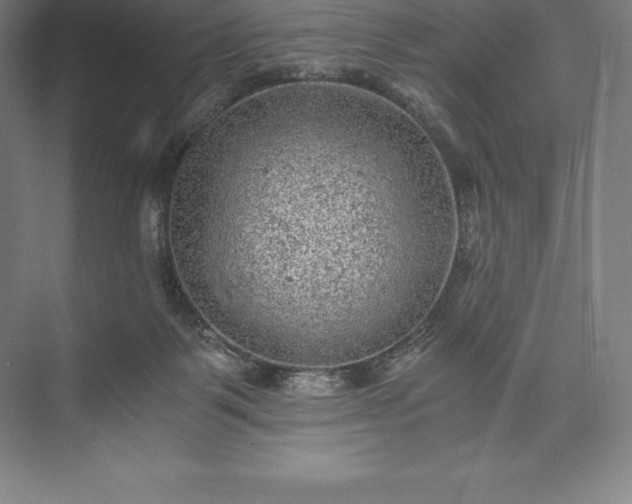 X0000073530123200608141036