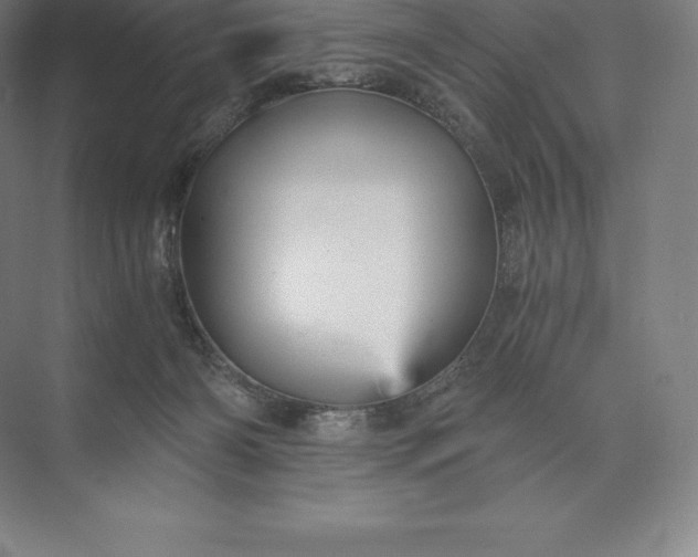 X0000073530126200608141036