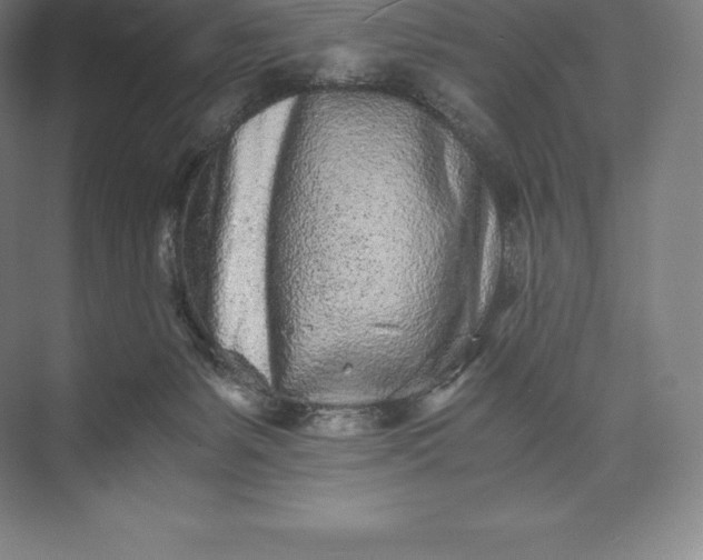 X0000073530127200608141036