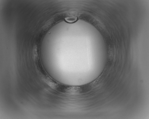 X0000073530128200608141036