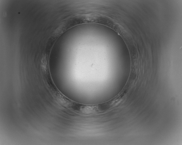 X0000073530129200608141036